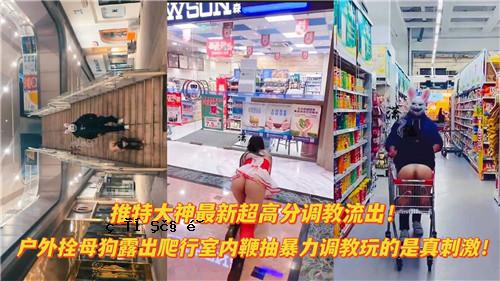 特别大神最新超高师教学，外挂母狗流出，爬行室内鞭子曝光，暴力训练