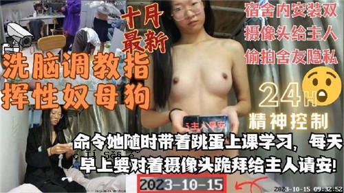 清洁训练指导、奴母、狗宿舍、内服、两尊雕像和房子的主人。