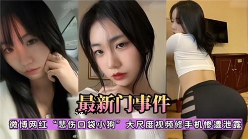 网传 Weibo 网红 悲剧嘴包 小狗 大尺寸 查看