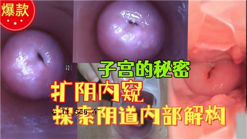 神社的秘密，神社的内部，神社的内部。