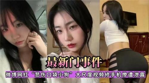 最新门事件微博网红悲剧受伤嘴包小狗大尺度观
