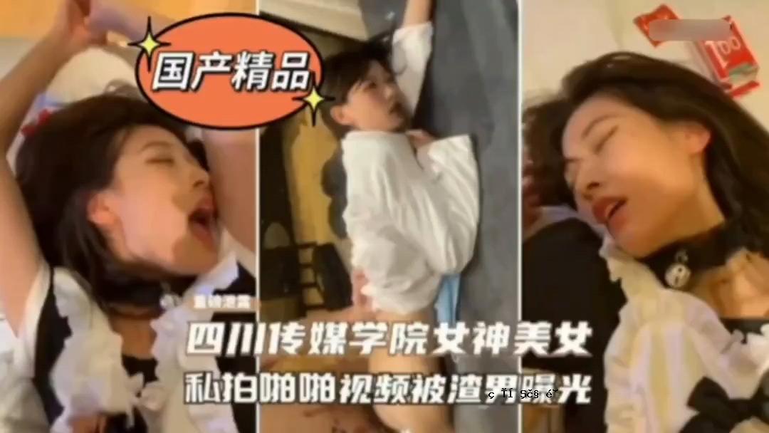 传传媒学院校花