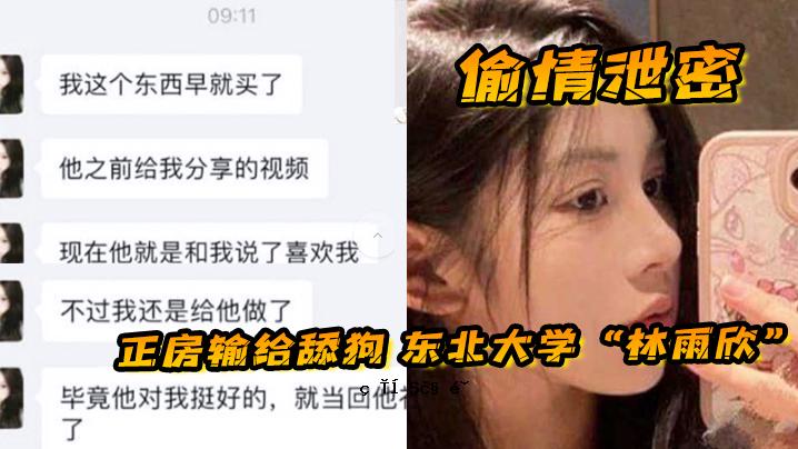 一个全新的男性朋友玩具，沉浸在东北大学林雨馨的城市里。